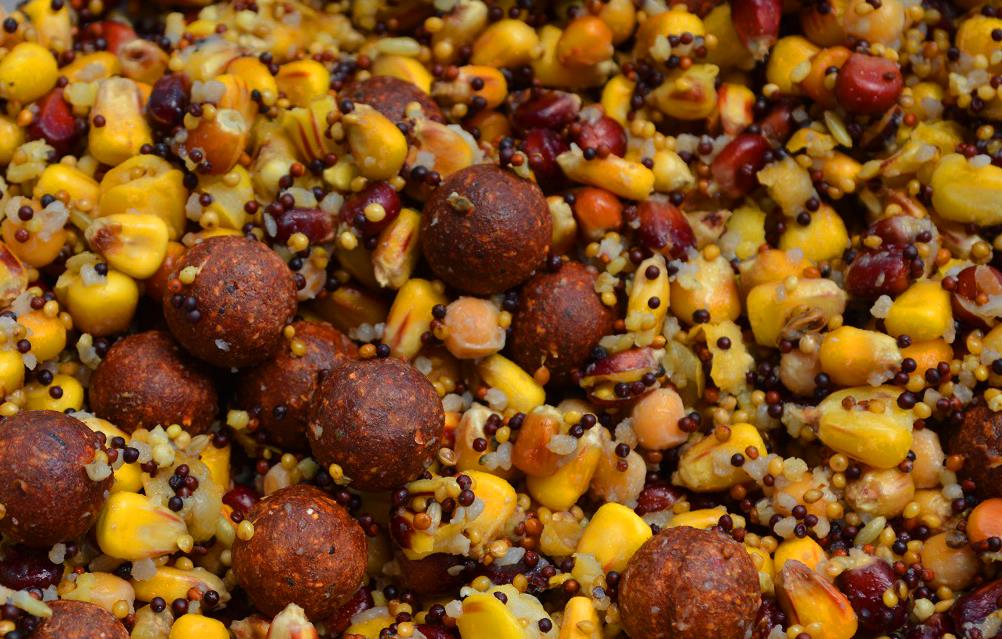 Seminte preparate pentru crap. Retete si ponturi